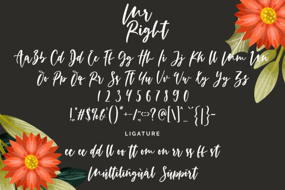 Mr Right - Free Font