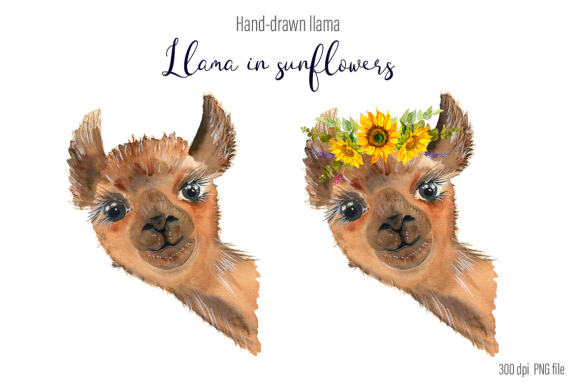 Watercolor Llama Clipart - Sublimation designs