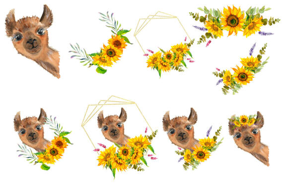 Watercolor Llama Clipart - Sublimation designs