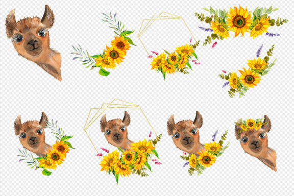 Watercolor Llama Clipart - Sublimation designs