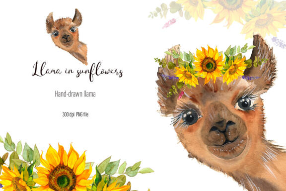 Watercolor Llama Clipart - Sublimation designs