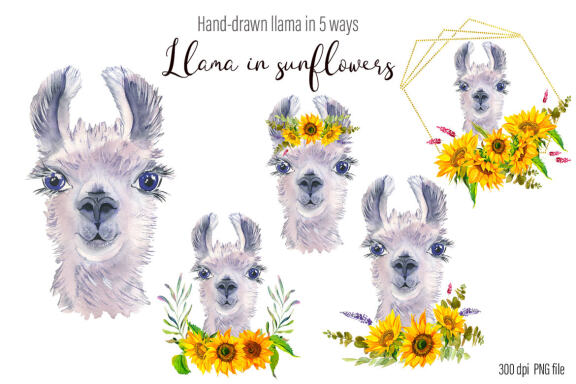 Watercolor Llama sunflower Clipart 