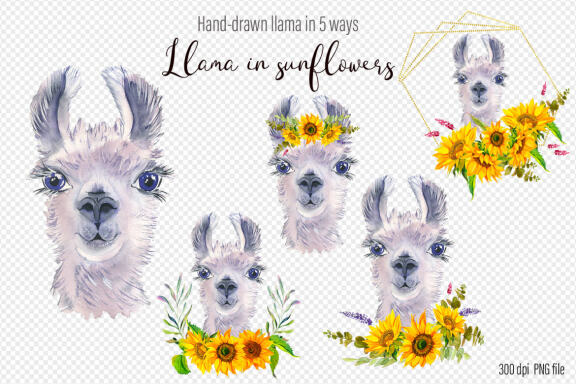 Watercolor Llama sunflower Clipart 
