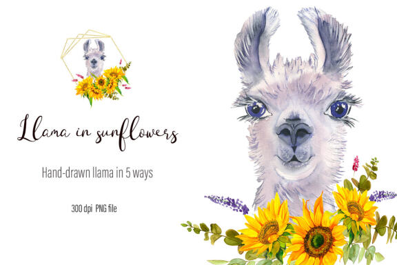 Watercolor Llama sunflower Clipart 