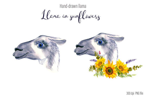 Watercolor Llama Clipart - Sublimation designs