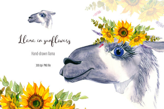 Watercolor Llama Clipart - Sublimation designs