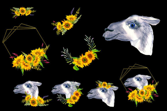 Watercolor Llama Clipart - Sublimation designs