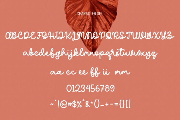 Roscheefs Script Font
