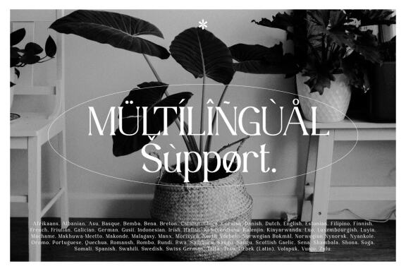 Qochy - Modern Serif Font