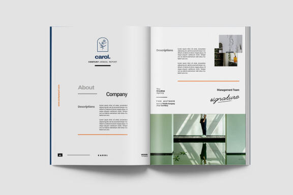  Carol Company Annual Report Indesign