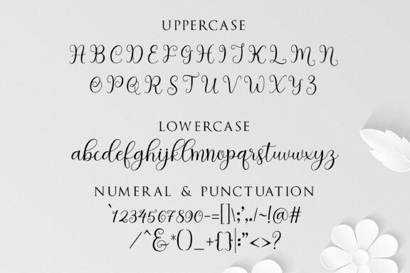 clara script