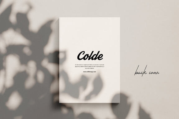 Colde - FREE Streetwear Fashion Magazine Template