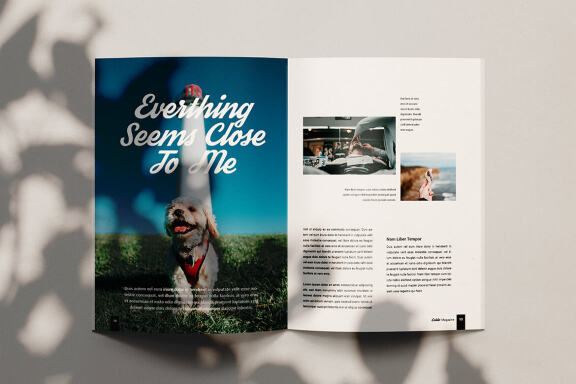 Colde - FREE Streetwear Fashion Magazine Template