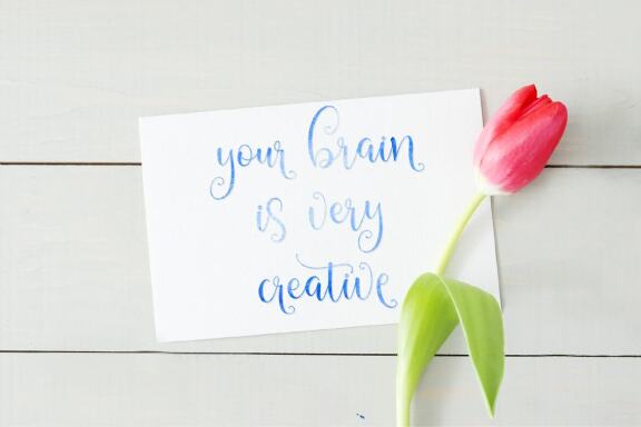 Bakquila Script