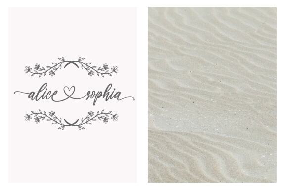 oh beauty - Free Script