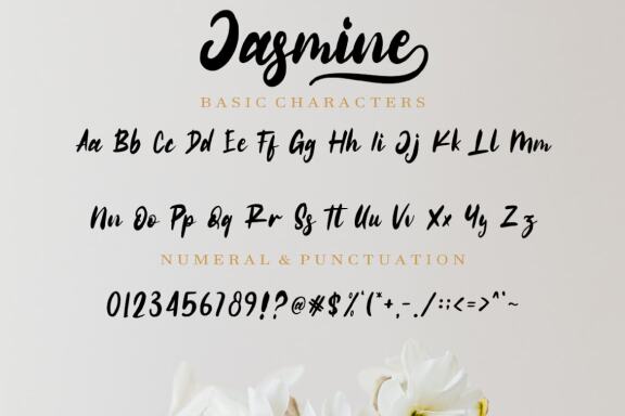 Jasmine Script