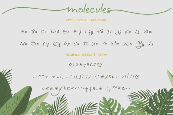 Molecules - Free Script Font