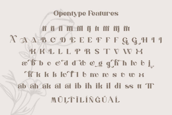 Chatterink Modern Serif