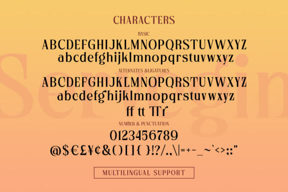 Servegin - Modern Serif Font