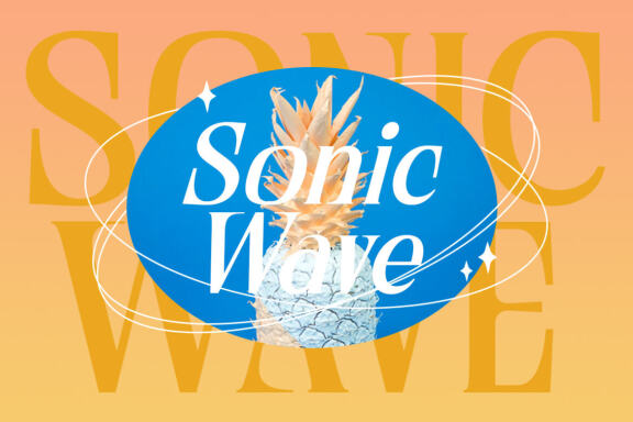Servegin - Modern Serif Font