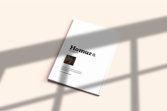 Homura - Magazine Template Indesign