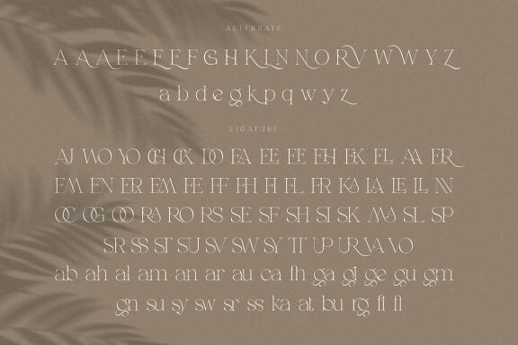 Gatlinburg - Modern Serif Font
