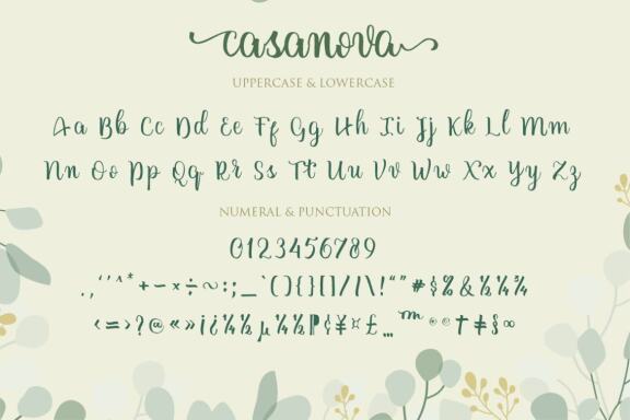  casanova script