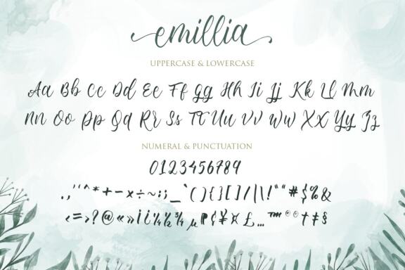 emillia script
