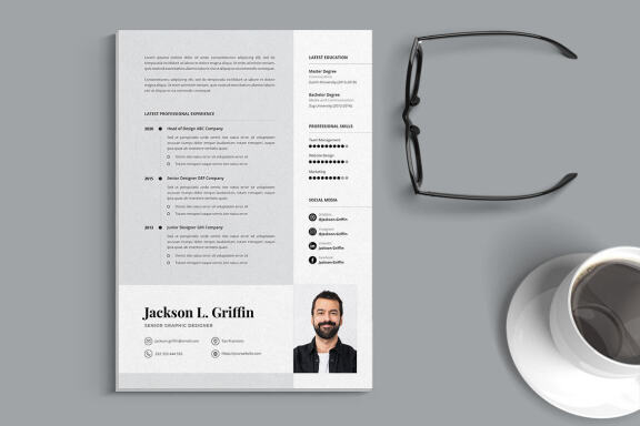  Professional CV Resume Vol.41
