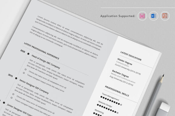  Professional CV Resume Vol.41