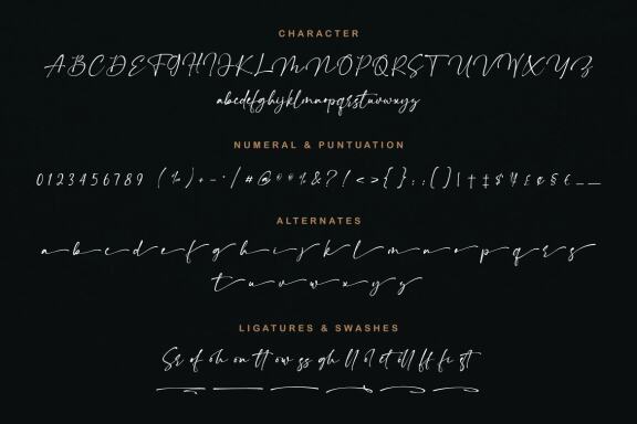 Chelliond | Chic Calligraphy Script