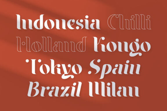 Braga Serif - Classic & Modern