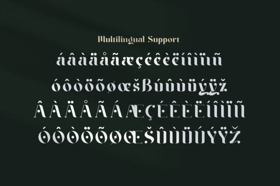 Braga Serif - Classic & Modern