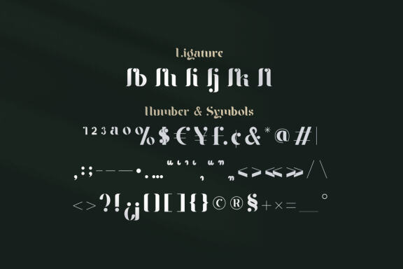 Braga Serif - Classic & Modern