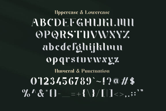 Braga Serif - Classic & Modern