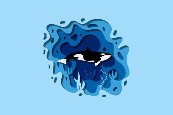Paper Cut - Whale