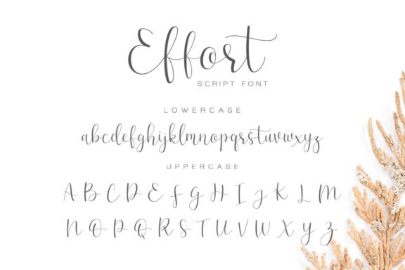 Effort - Calligraphy Font