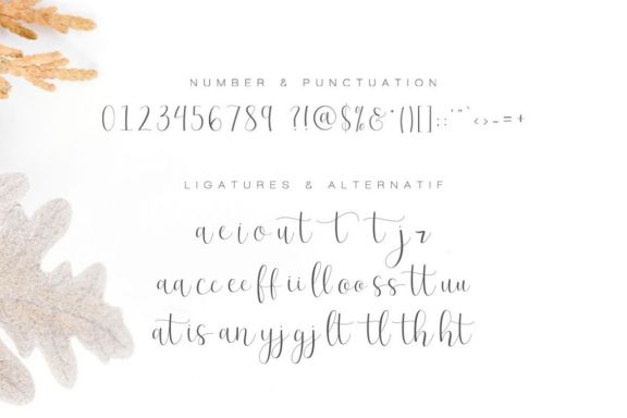 Effort - Calligraphy Font