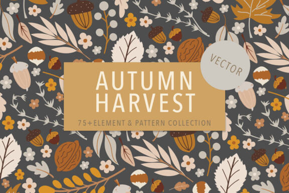 Autumn Harvest Vector Element & Pattern Set