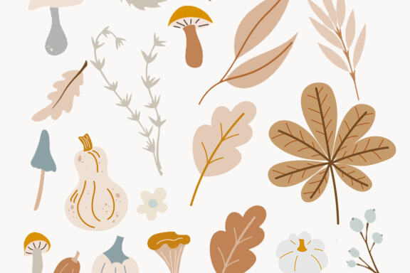 Autumn Harvest Vector Element & Pattern Set