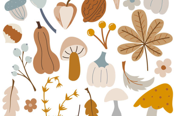 Autumn Harvest Vector Element & Pattern Set