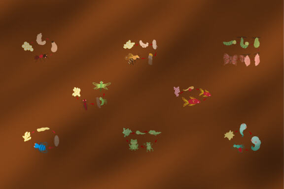 Metamorphosis 8 Clipart Plus Seamless Pattern