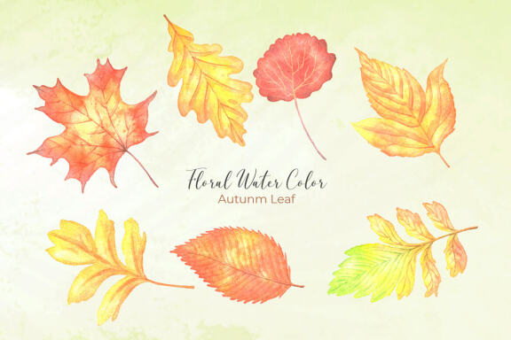 Autumn Flower Watercolor Bundle