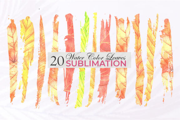 Autumn Flower Watercolor Bundle