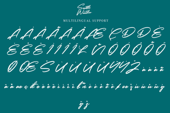 Seattle Weather - Bold Signature