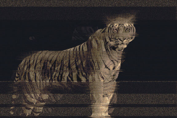 Glitch Portrait Effect Photoshop Action