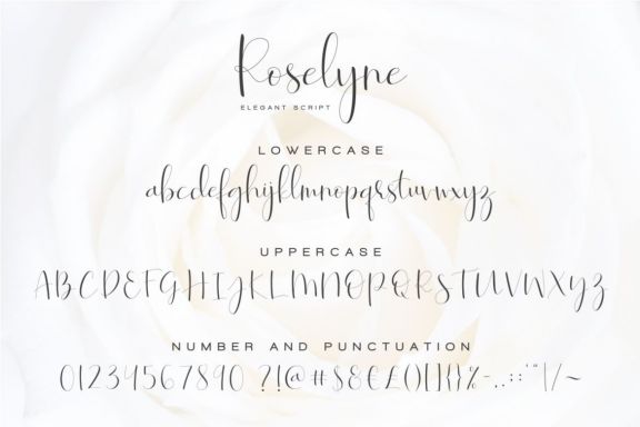 Roselyne - Caligraphy Script