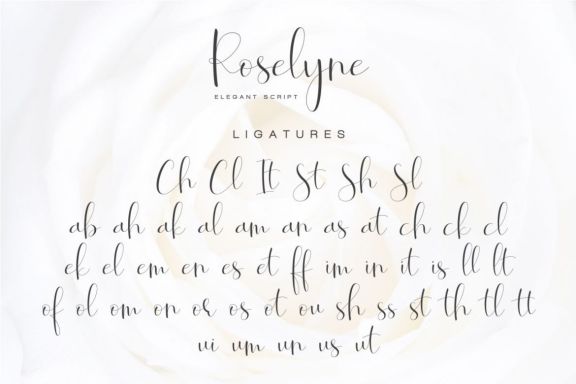 Roselyne - Caligraphy Script
