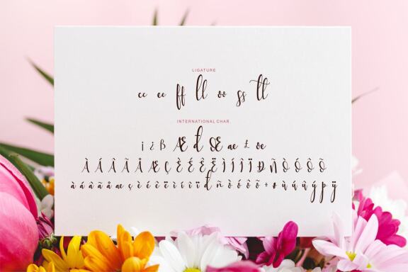  Sttessi - Beutiful FREE Script Font