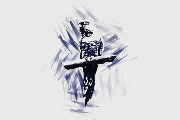 Vector Tracing Photoshop Action